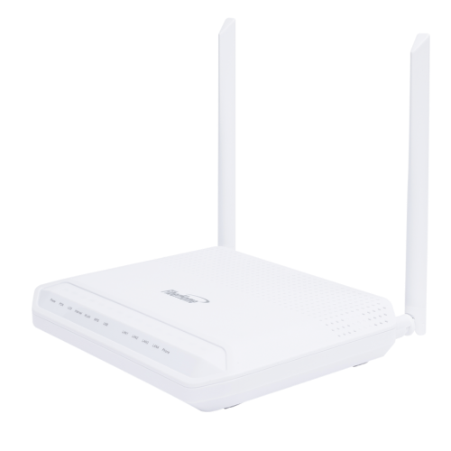 FBHG6143D50P