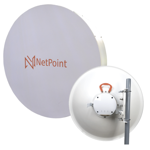 NPNP11 NPNP11