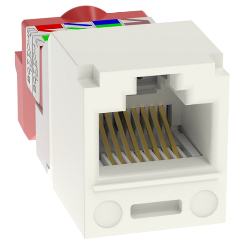 PACJ5E88TIW