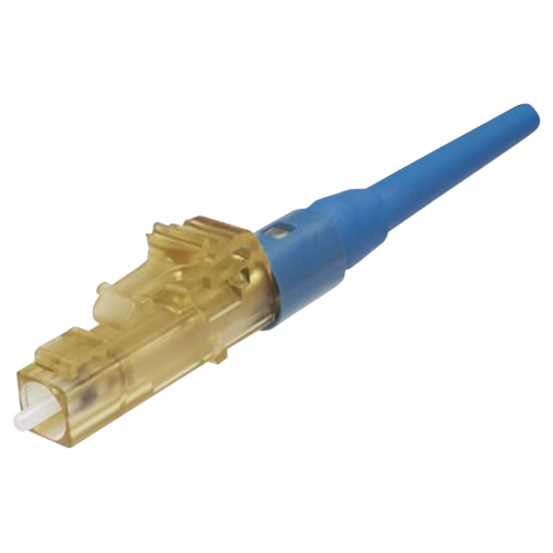 PAFLCSSCBUY PAFLCSSCBUY