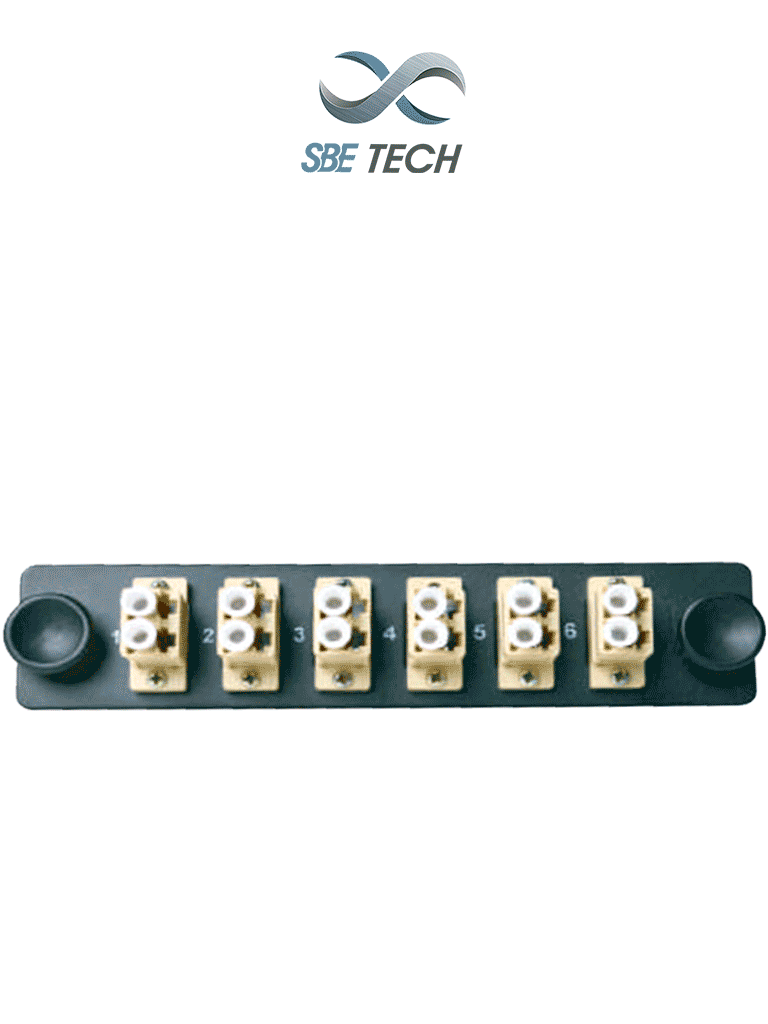 SBSBT1940009