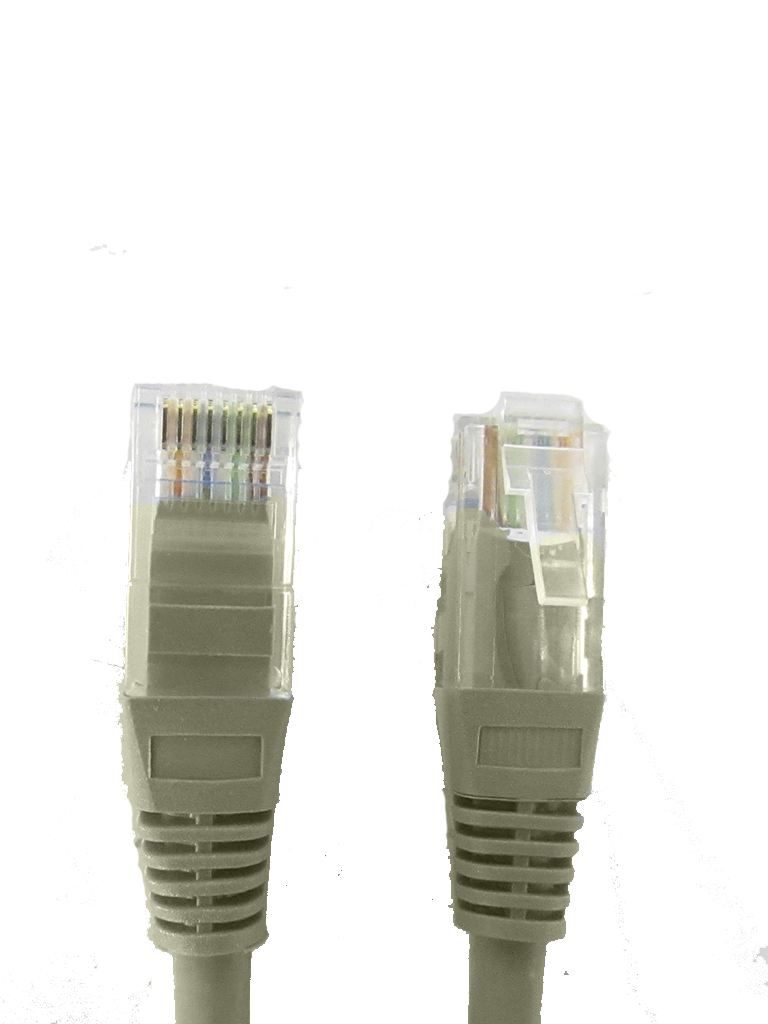 SXTCE119017 SXTCE119017
